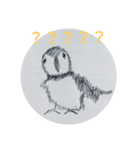 hand draw puffin（個別スタンプ：8）