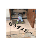 ウチの次男（個別スタンプ：14）