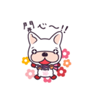 French bulldog meimei（個別スタンプ：4）