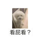 Lawrence（個別スタンプ：8）