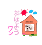 モコちゃん スタンプ（個別スタンプ：3）