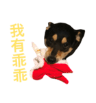 Dog emoji（個別スタンプ：6）