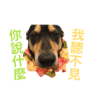 Dog emoji（個別スタンプ：7）