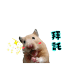 Hamsterland（個別スタンプ：10）