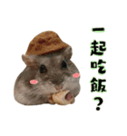 Hamsterland（個別スタンプ：14）