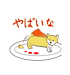 チーズケーキ柴犬（個別スタンプ：3）