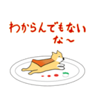 チーズケーキ柴犬（個別スタンプ：11）