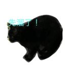 wu hi cats（個別スタンプ：2）