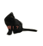 wu hi cats（個別スタンプ：9）