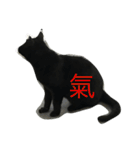 wu hi cats（個別スタンプ：23）