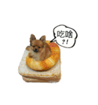 Bagel I love you（個別スタンプ：10）