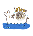 Sea-cat（個別スタンプ：1）