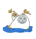 Sea-cat（個別スタンプ：11）