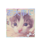 戸塚猫たん（個別スタンプ：21）