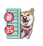 dog dog family（個別スタンプ：1）