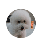 this is my dog baby（個別スタンプ：5）