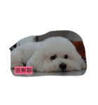 this is my dog baby（個別スタンプ：6）