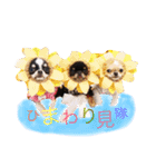 ♡Happy chihuahuas♡（個別スタンプ：20）