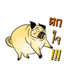 BIG PUG.（個別スタンプ：9）