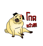 BIG PUG.（個別スタンプ：15）