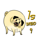 BIG PUG.（個別スタンプ：18）