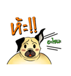 BIG PUG.（個別スタンプ：21）