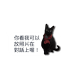 LazyFatBlackCat 3 - Conversation（個別スタンプ：5）