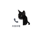 LazyFatBlackCat 3 - Conversation（個別スタンプ：6）