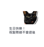 LazyFatBlackCat 3 - Conversation（個別スタンプ：10）