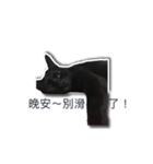 LazyFatBlackCat 3 - Conversation（個別スタンプ：15）