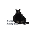 LazyFatBlackCat 3 - Conversation（個別スタンプ：20）