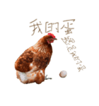 eggGGGG（個別スタンプ：2）