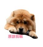 Chowchow Polly 4（個別スタンプ：2）