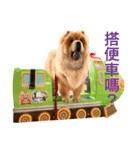 Chowchow Polly 4（個別スタンプ：17）