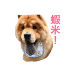 Chowchow Polly 4（個別スタンプ：23）