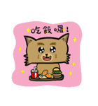 YORKIECOOKIE 2（個別スタンプ：24）