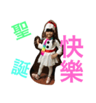 3 kids Chen family（個別スタンプ：4）