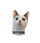 Lai Fu the cat！（個別スタンプ：17）