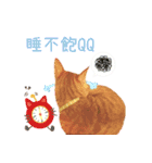 CUTE CAT~TANGYUAN2（個別スタンプ：5）