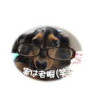 愛犬が話したら（個別スタンプ：4）