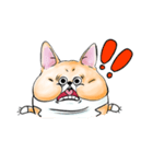 Corgi Fatty（個別スタンプ：1）