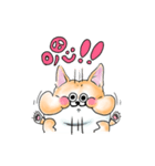 Corgi Fatty（個別スタンプ：13）