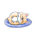 Corgi Fatty（個別スタンプ：16）