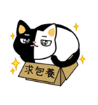 Black and white cat helpless life（個別スタンプ：14）