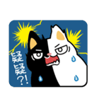 Black and white cat helpless life（個別スタンプ：19）