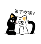 Black and white cat helpless life（個別スタンプ：31）