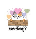 Hello Chubby Cat（個別スタンプ：6）