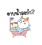 Hello Chubby Cat（個別スタンプ：16）