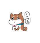 柴犬コロちゃんのスタンプ（個別スタンプ：1）