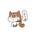 柴犬コロちゃんのスタンプ（個別スタンプ：6）